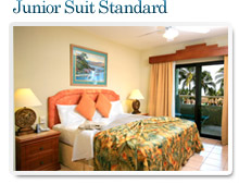 All Inclusive Package in Puerto Vallarta