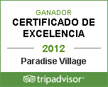 Excellence Certificate