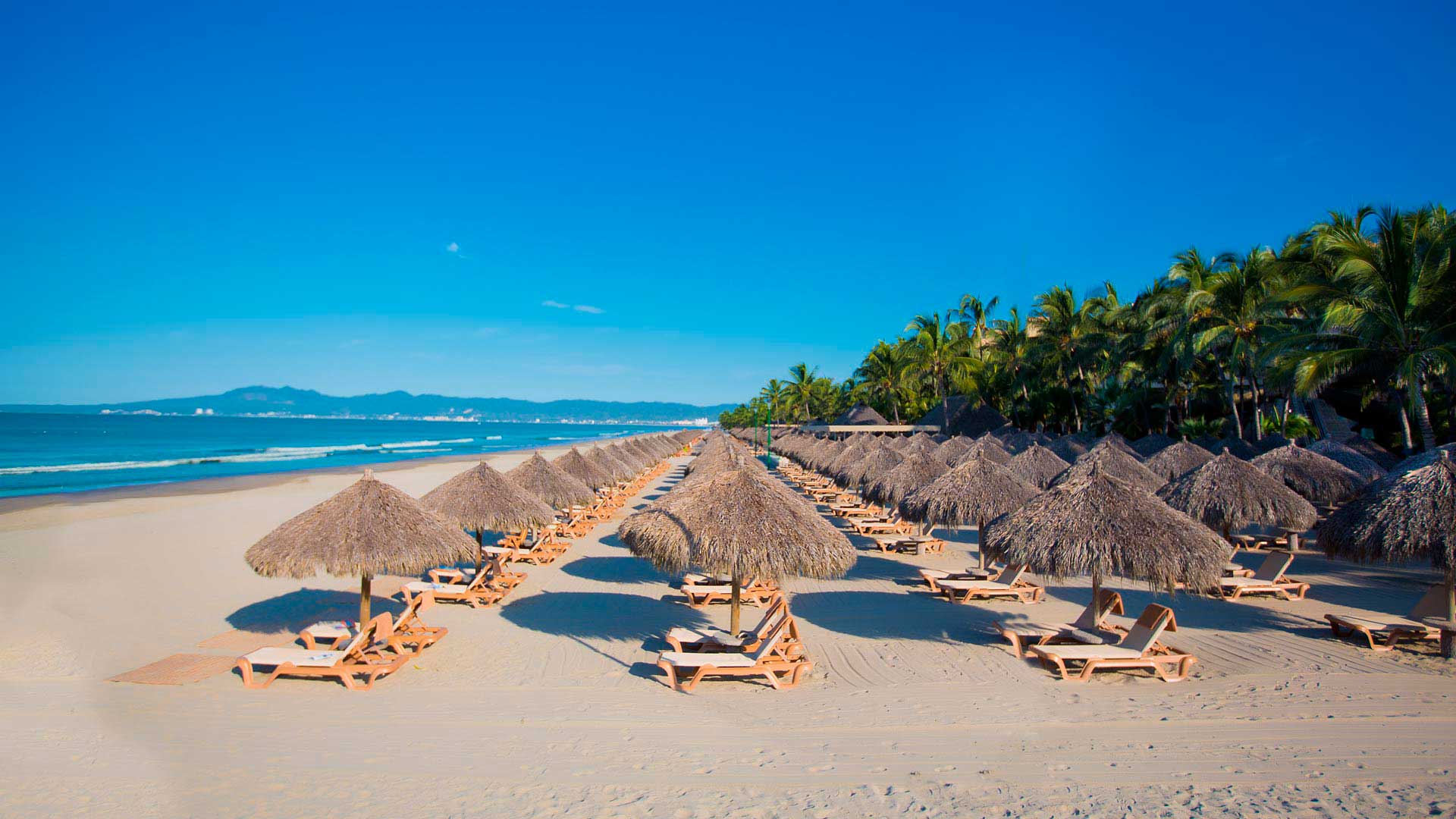 beach resort in nuevo vallarta