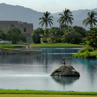 nuevo vallarta hotels